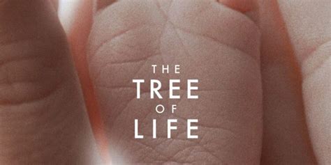The Tree Of Life Review Finding Meaning In Creation Fortress Of