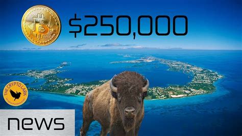 Similar to bitcoin in 2008. Bitcoin & Cryptocurrency News - Bitcoin $250,000, Bermuda ...