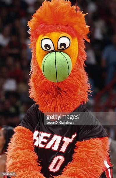 Miami Heat Mascot Photos And Premium High Res Pictures Getty Images