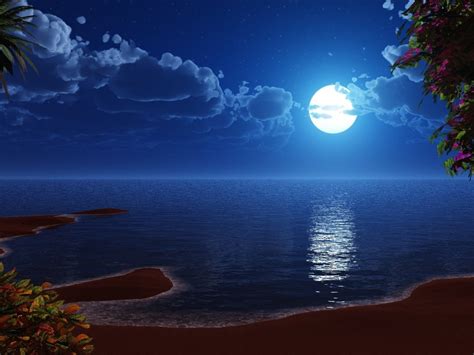 Free Download Moon In Beach Night Wallpaper Hd 1024x768 Iwallhd
