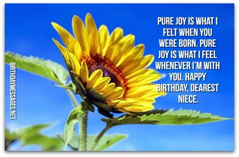 Have a wonderful birthday to you! Niece Birthday Wishes - Birthday Messages for Nieces