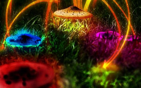 Find over 100+ of the best free digital art images. Trippy Nature Wallpaper - WallpaperSafari