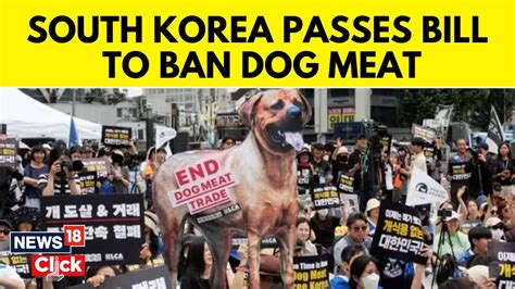 South Korea News Today South Korea Passes Bill To Ban Eating Dog Meat