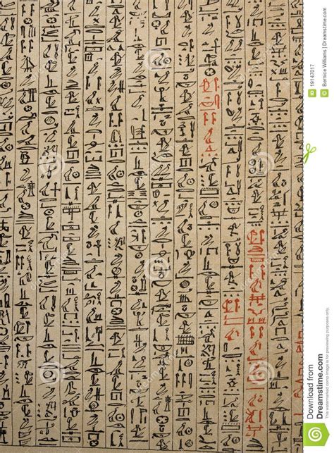 Egyptian Hieroglyphics On Papyrus