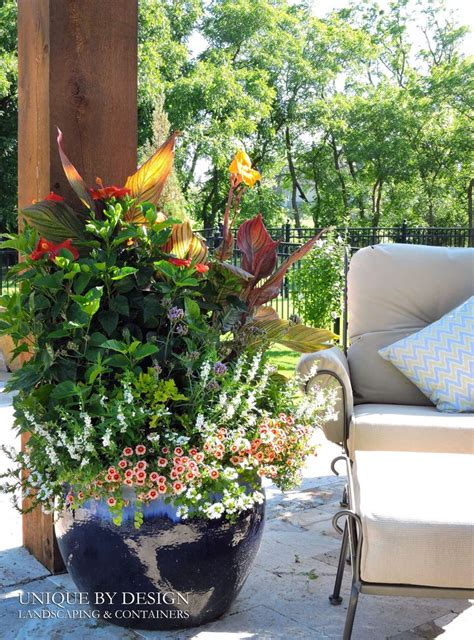17 Best Images About Container Gardening Unique By Design