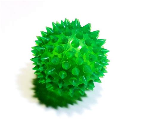 Green Spiky Ball Free Stock Photo By David M On