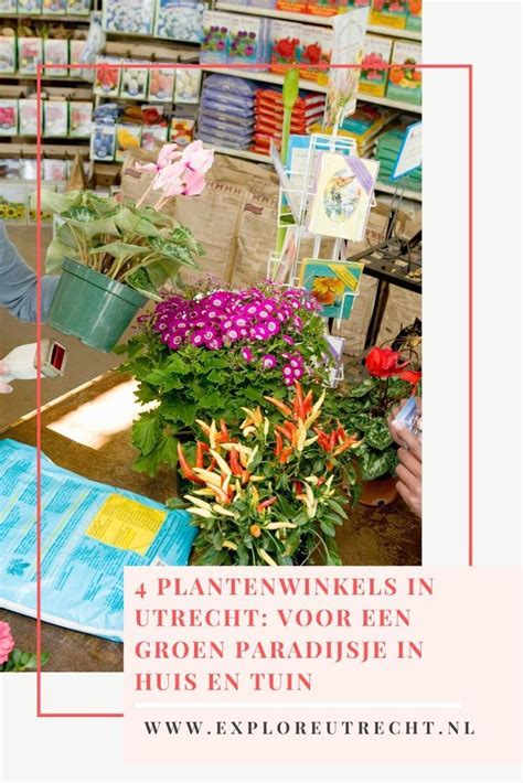 4 Plantenwinkels In Utrecht Voor Een Groen Paradijsje In Huis En Tuin
