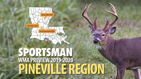 Louisianas Wma Preview 2019 20 Pineville Region Louisiana Sportsman