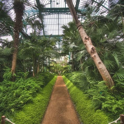 Image Of Royal Greenhouses Laeken By Gert Lucas 1019549