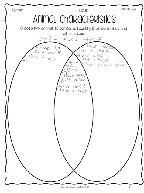 Animal Characteristics – Amber's Science Work