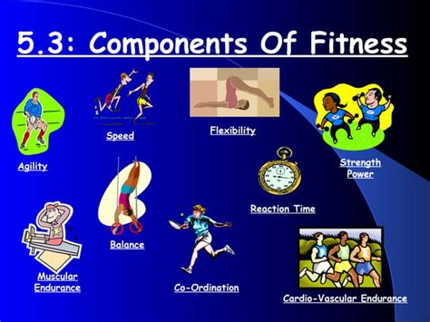 53 Components Of Fitness Ppt