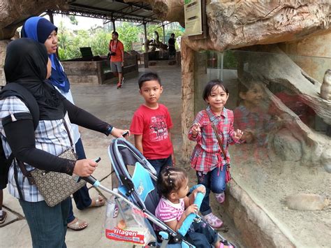 Today, i'll do a sneak peek about this mini petting zoo, farm in the city at seri kembangan. Mama Adaliya: Farm in the city: Mini zoo di Seri Kembangan