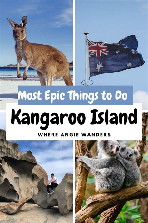 Most Epic Things To Do In Kangaroo Island Kangaroo Island Adventure