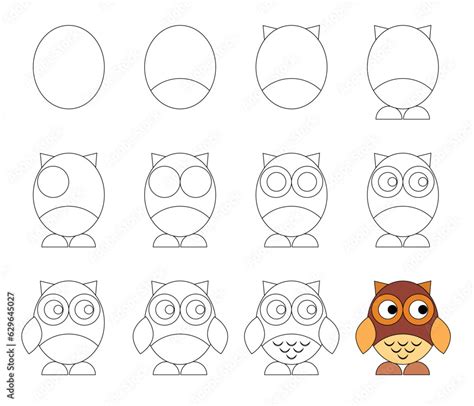 Worksheet Easy Guide To Drawing Cartoon Owl Simple Step By Step