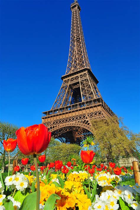 Spring In Paris Photograph By Navin Mistry Fine Art America