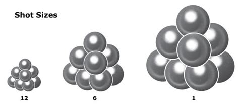 Shot Size Comparison Chart