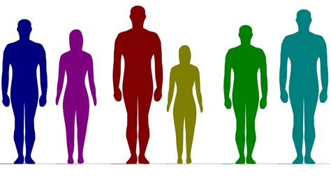 身長と性別を入力すると複数の人の体型の差を並べて表示してくれる「comparing Heights」 Gigazine
