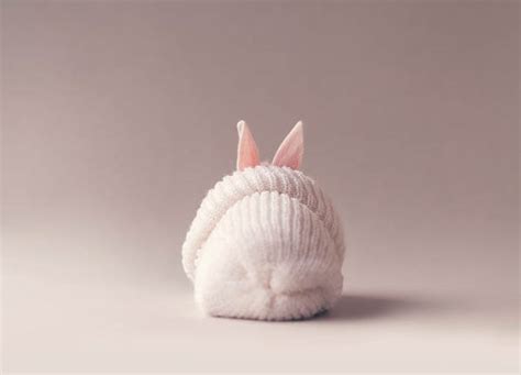 Adorable Photos Of Newborn Baby Bunny By Ashraful Arefin Design Swan
