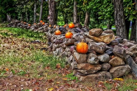 Hd Wallpaper Stone Fence Connecticut Forest Trees Stone Fence