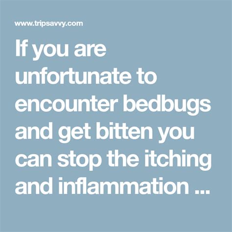 Safety Inflammation Bed Bugs Holistic