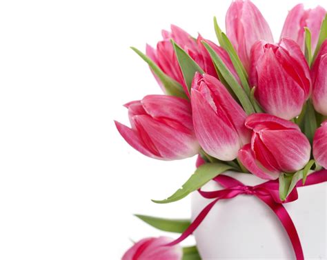Wallpaper Tulip Bunga Bunga Buket Vas Busur Kuncup Bunga