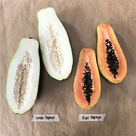 How To Tell When A Papaya Is Ripe Unomastaquiza