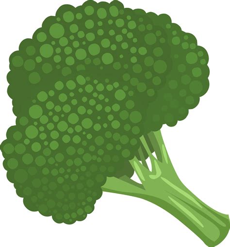Broccoli Png Clip Art Broccoli Transparent Png Image Cliparts Free My