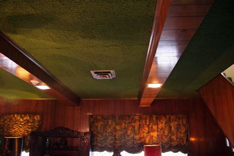 Not just for you, but for your downstairs neighbor too. shag carpet on the ceiling of the jungle room | Jungle ...