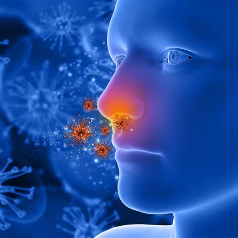 Is A Sinus Infection Contagious Credihealth