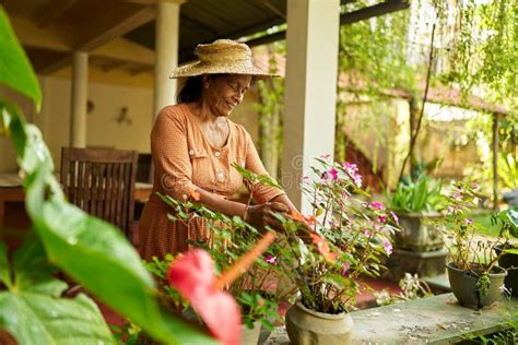 Senior Indian Female Farmer In Straw Hat With Gardening Scoop In Garden