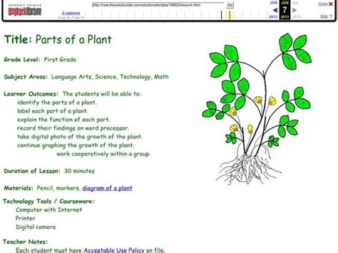 Parts Of A Plant Lesson Plan For 1st Grade Lesson Planet