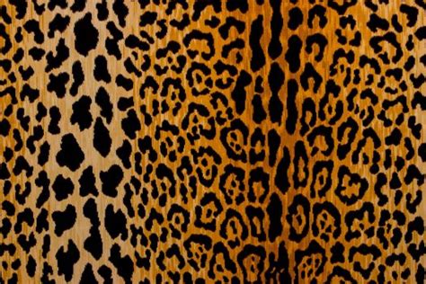 Leopard Print Fabric By The Yard Animal Prints Fabric The Fabric Mill