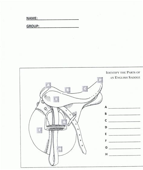 Printable Horse Anatomy Worksheets Free Printable Worksheet