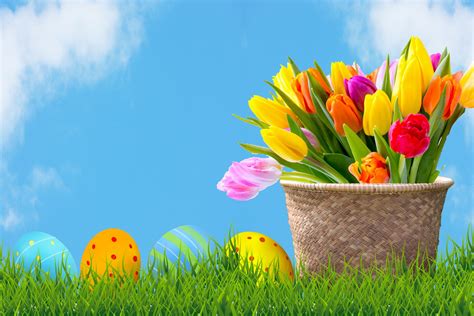 Easter Eggs And Tulips With Blue Sky Free Stock Photo Public Domain