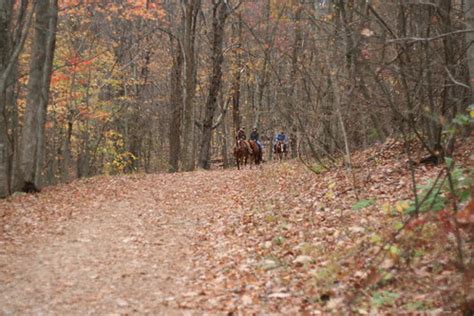 Maybe you would like to learn more about one of these? James River State Park Cabin 2015 | Rachel Chieppa | Flickr