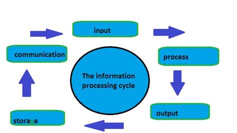 The Information Processing Cycle Information Processing
