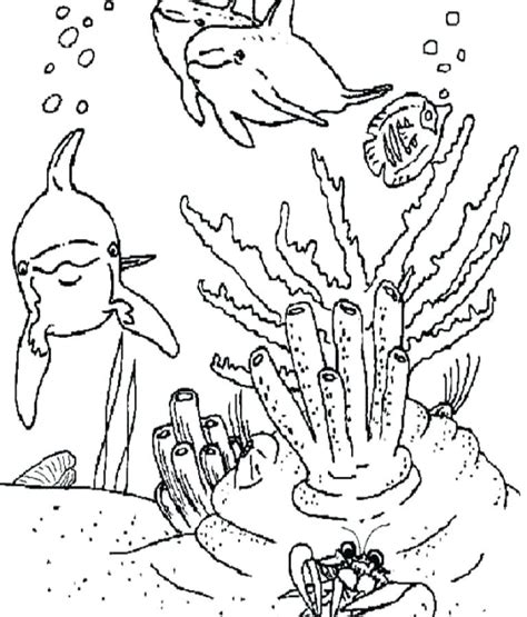 Ocean Floor Coloring Sheet Coloring Pages