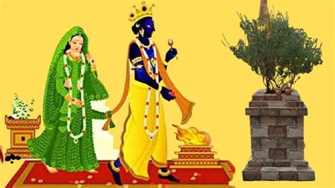 Tulsi Vivah 2022 Check Date Significance Celebrations And Shubh Puja