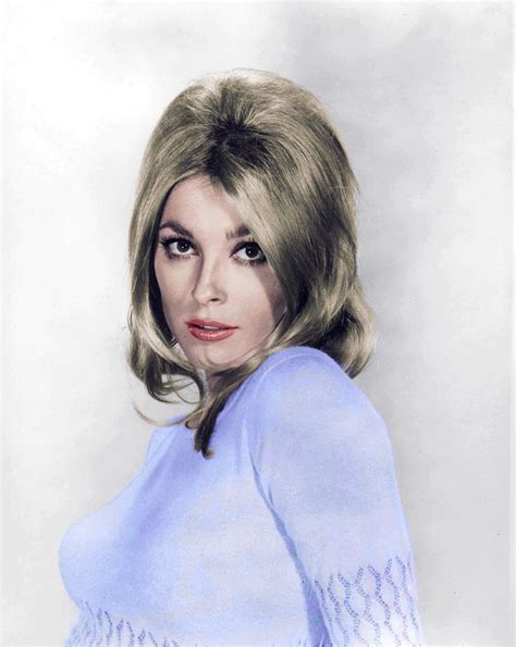 Pin By Steve Hann On Forever Beautiful Sharon Tate In Sharon