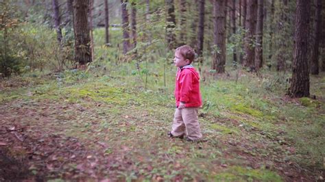 Cute Little Boy Walking In The Forest Through The Woods Alone