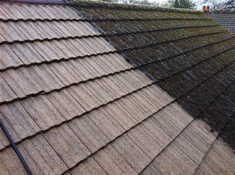 Roof Brush With Treatment Pro Cleaning Manchester Ltd