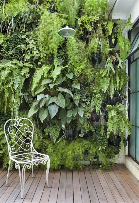 Amazing Vertical Wall Gardens Garden Pics And Tips