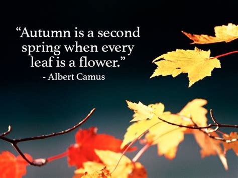 Fall Quotes And Sayings To Get You In The Spirit Of Autumn Autumn