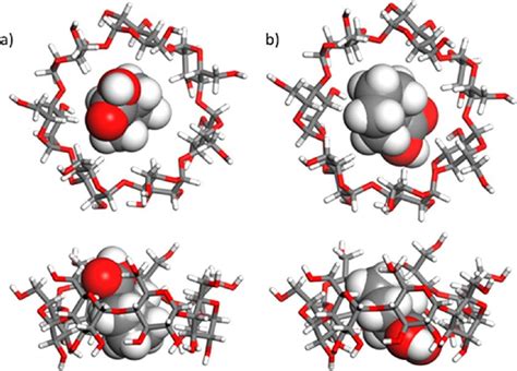Top And Side Views Of The β Cd Cp Inclusion Complex A Conformation