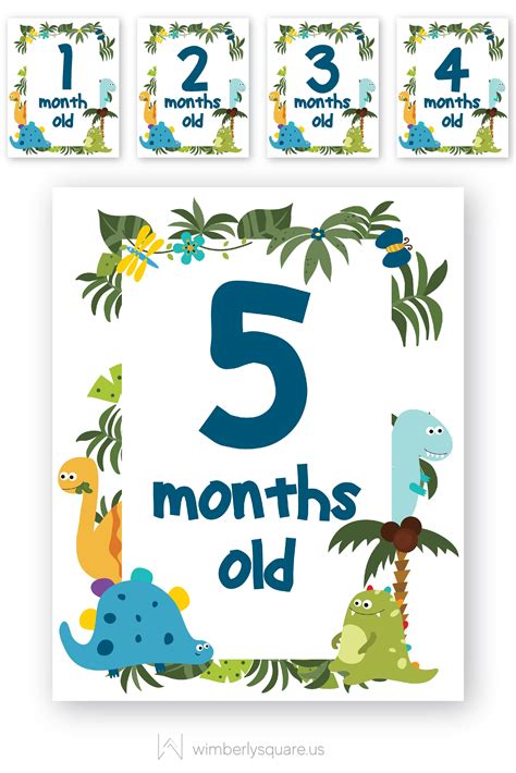 Baby Boy Dinosaur Monthly Milestone Signs Baby Month Stickers One