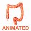 Human Colon Animated 3D Asset  CGTrader