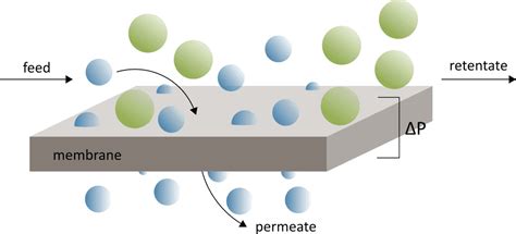 Introduction To Membrane Science From The Open Membrane Database · Omd