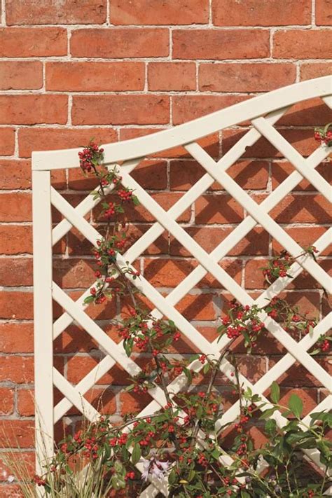 A crisscross wall trellis is an easy diy project that adds charm and style to a patio or backyard. How To Attach Trellis To A Wall Or Fence | Ronseal