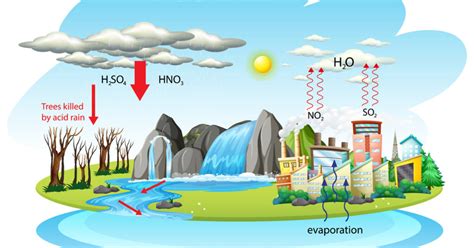 Acid Rain Causes Effects And Solutions