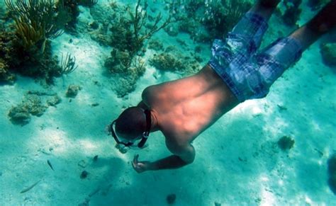 Snorkeling Trips On Grand Cayman Boat Charters Seven Mile Beach